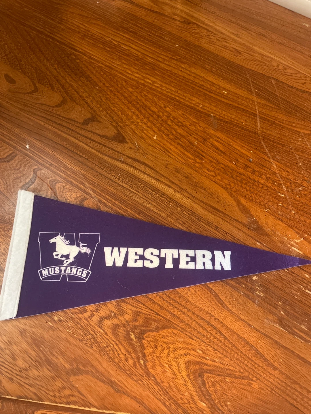 Western Mustangs Pennant