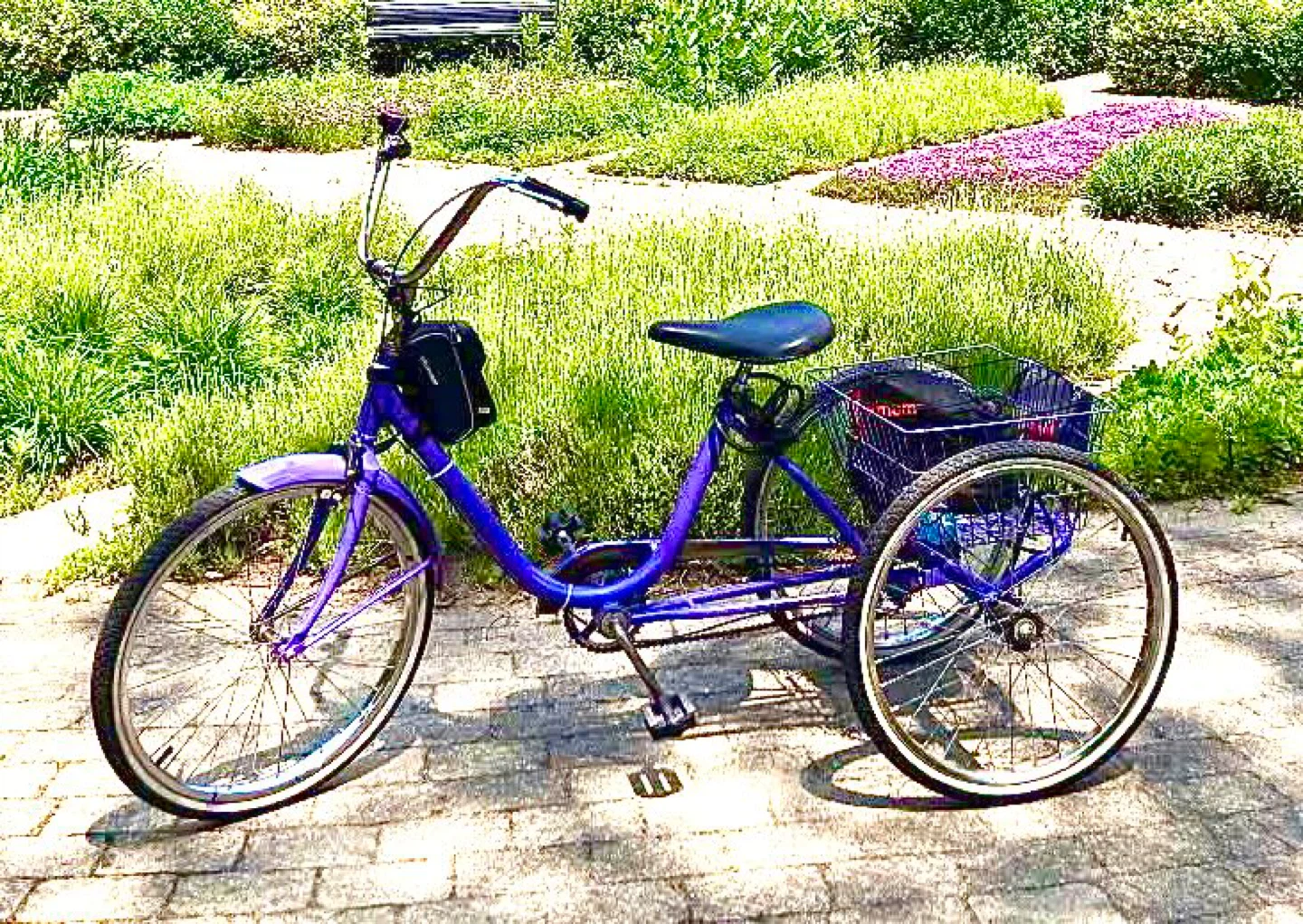 Purple Adult Tricycle with Basket