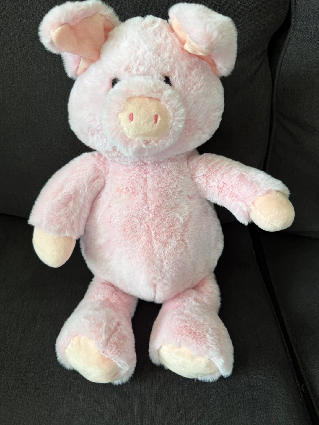 Large Stuffies and Collectables (PART 2/2) - photo 4