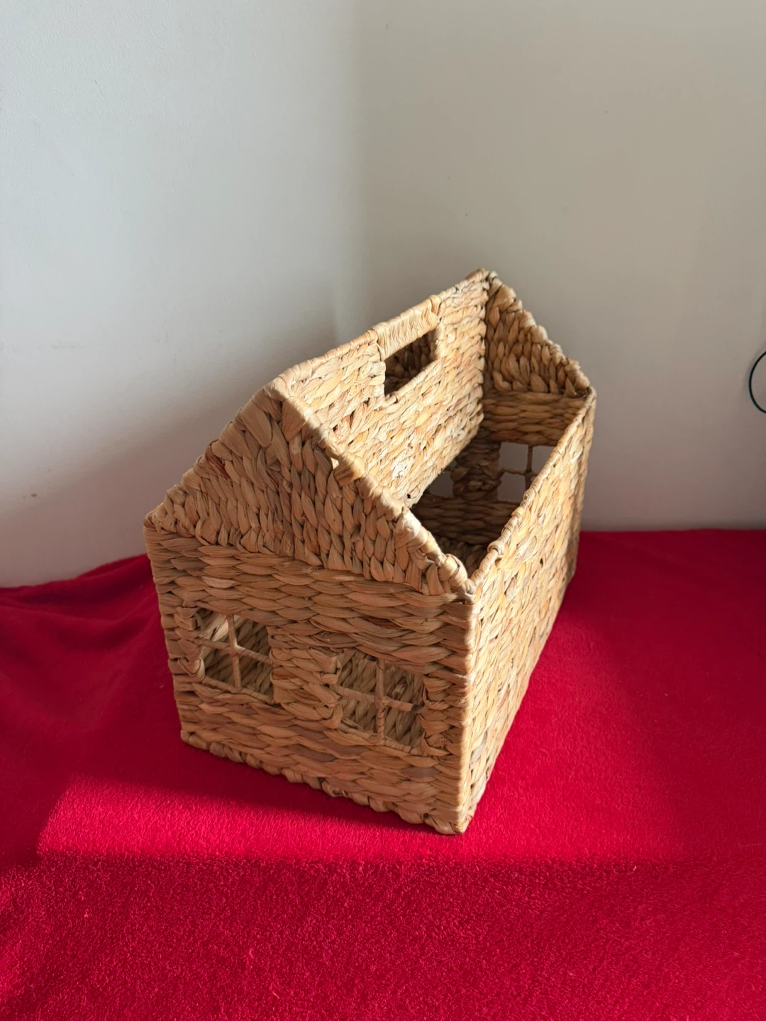 Woven Basket Organizer