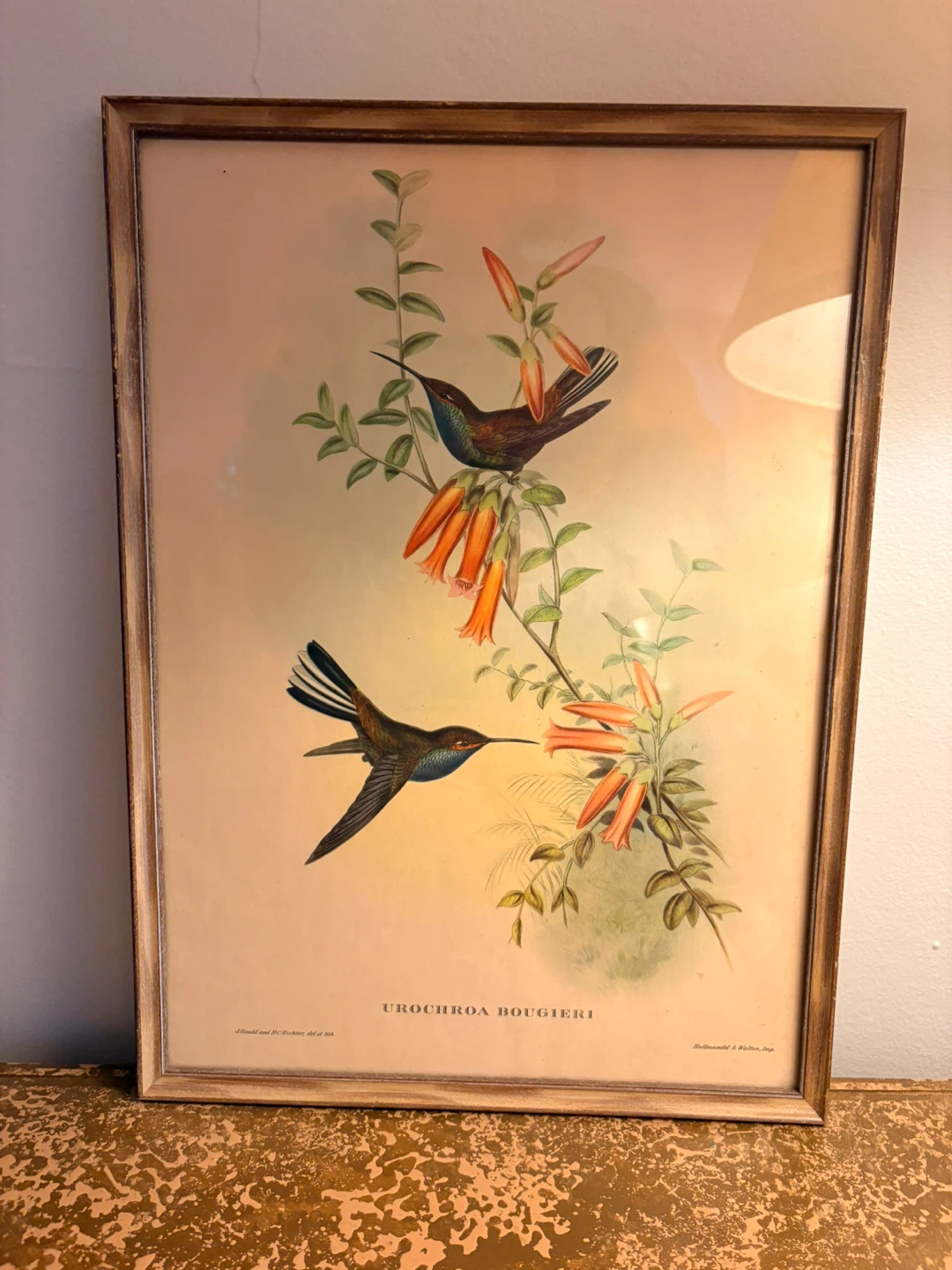 Vintage Framed Bird Prints (Set of 4) - photo 2