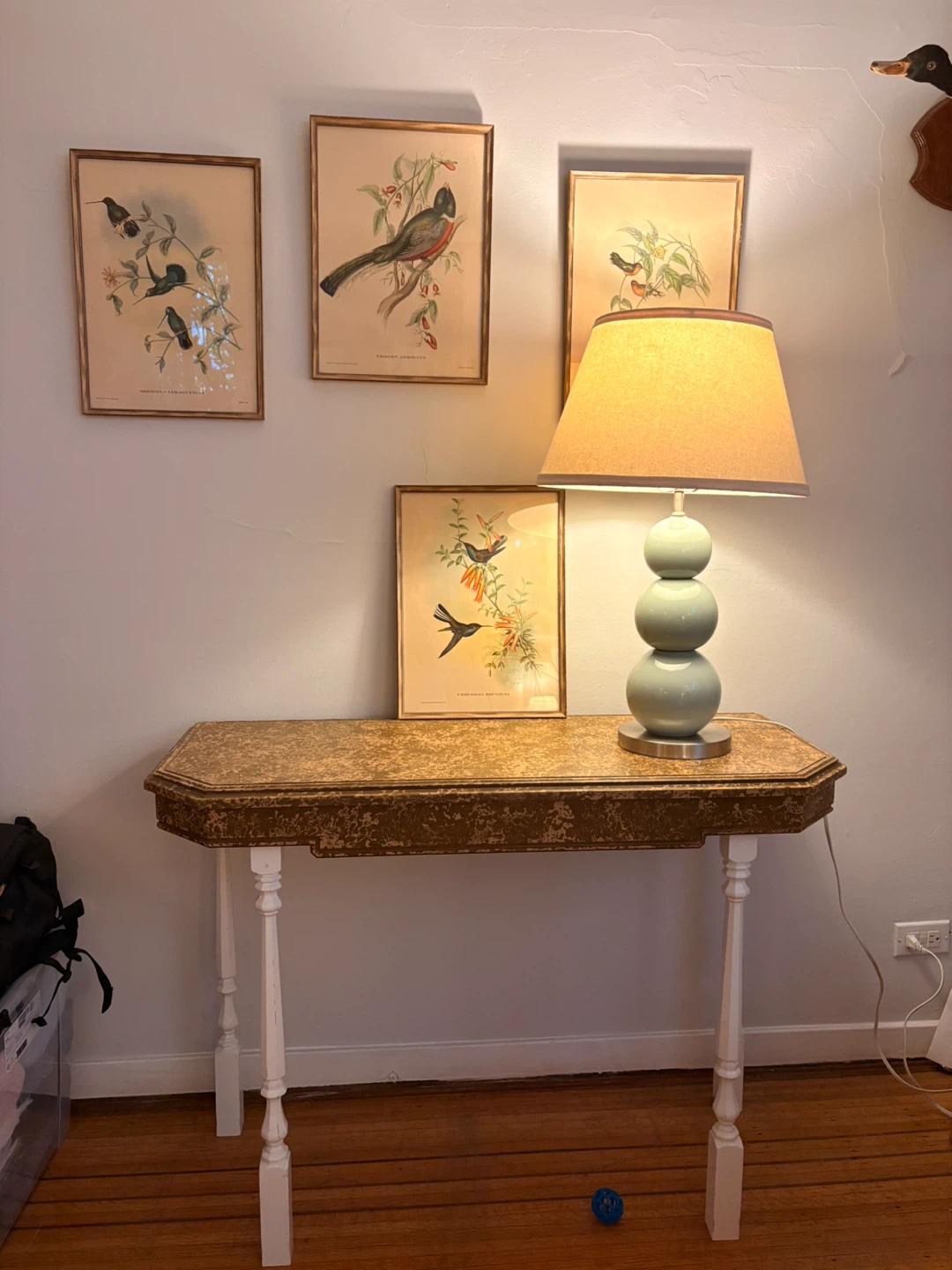 Vintage Framed Bird Prints (Set of 4)