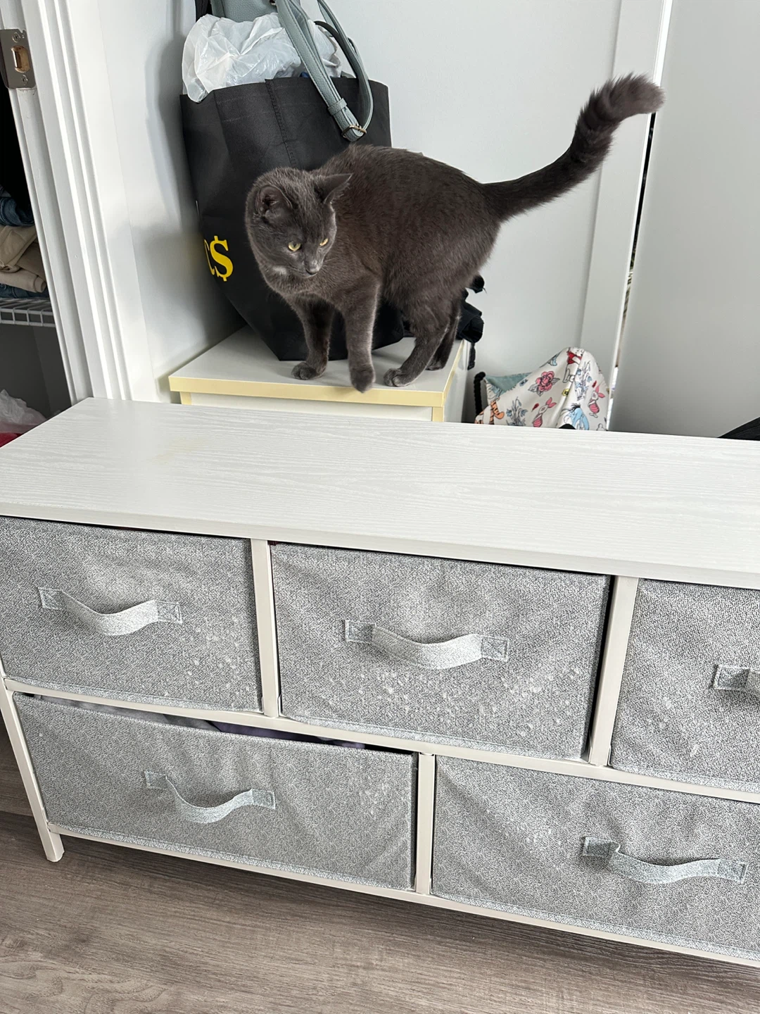 White 6-Drawer Fabric Dresser (No, the cat is not included) - photo 4