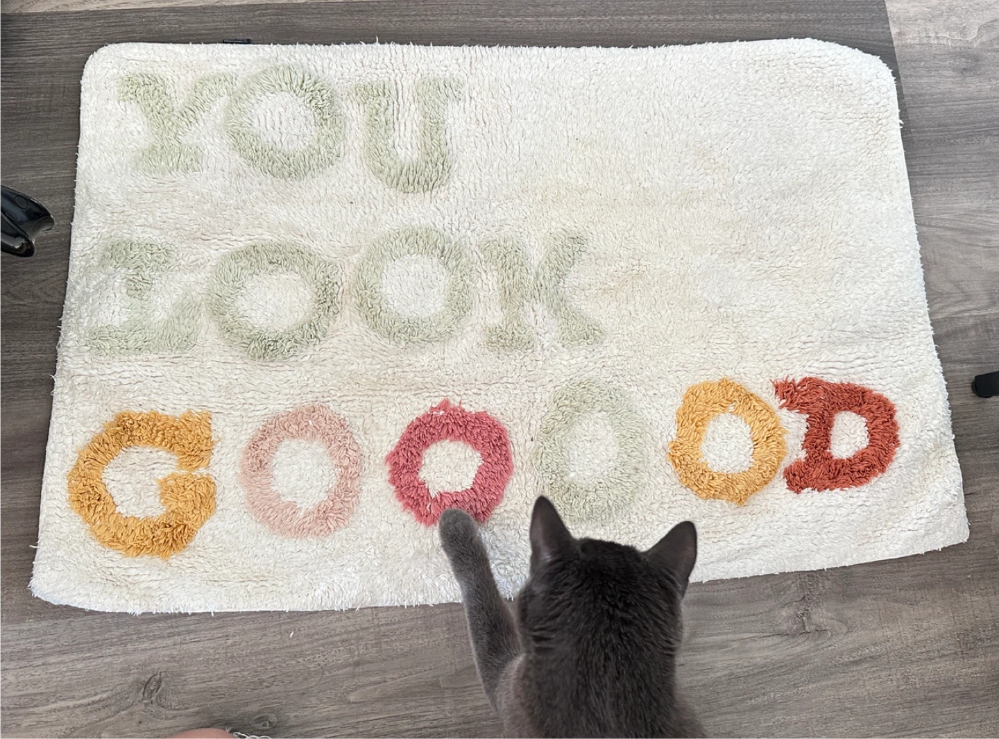 Simon’s Bathroom Mat