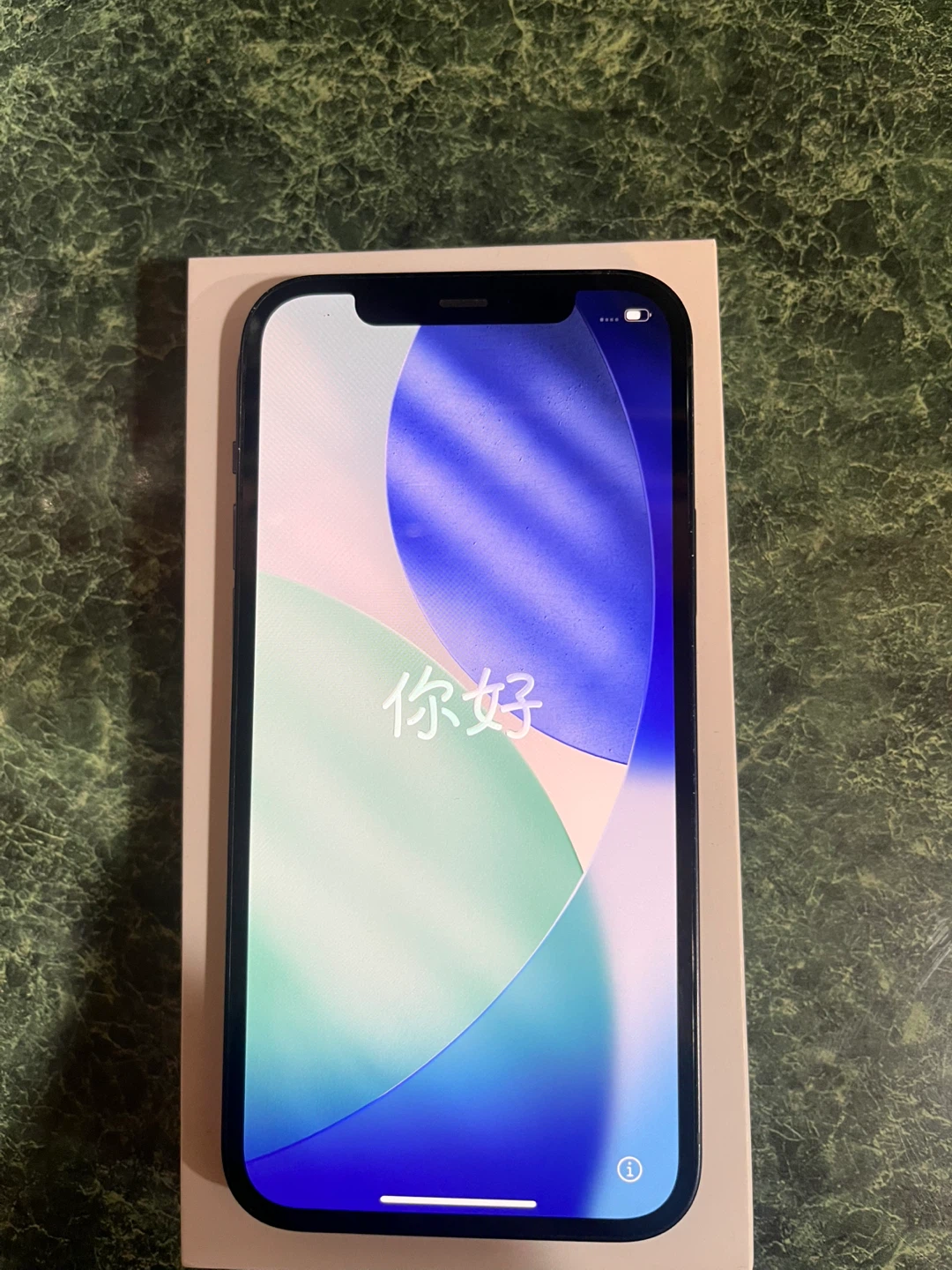 Apple iPhone 12 - photo 4