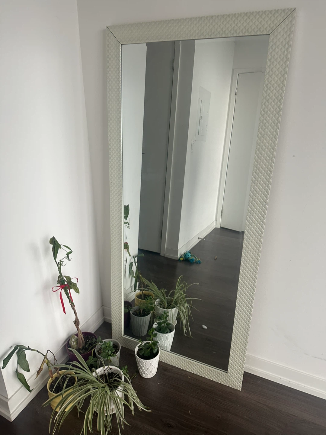 Large Decorative Mirror