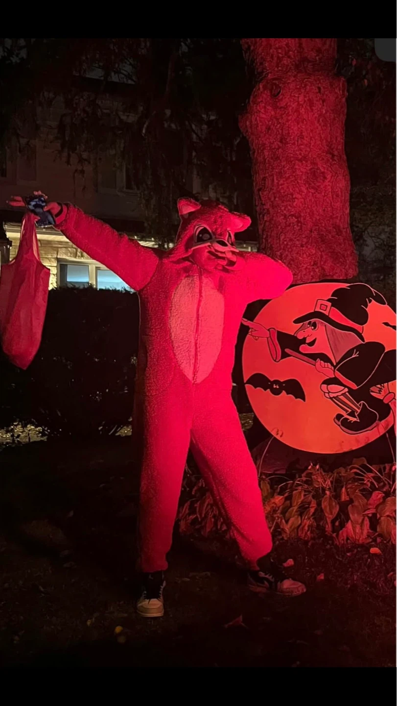 Halloween Costume - photo 3