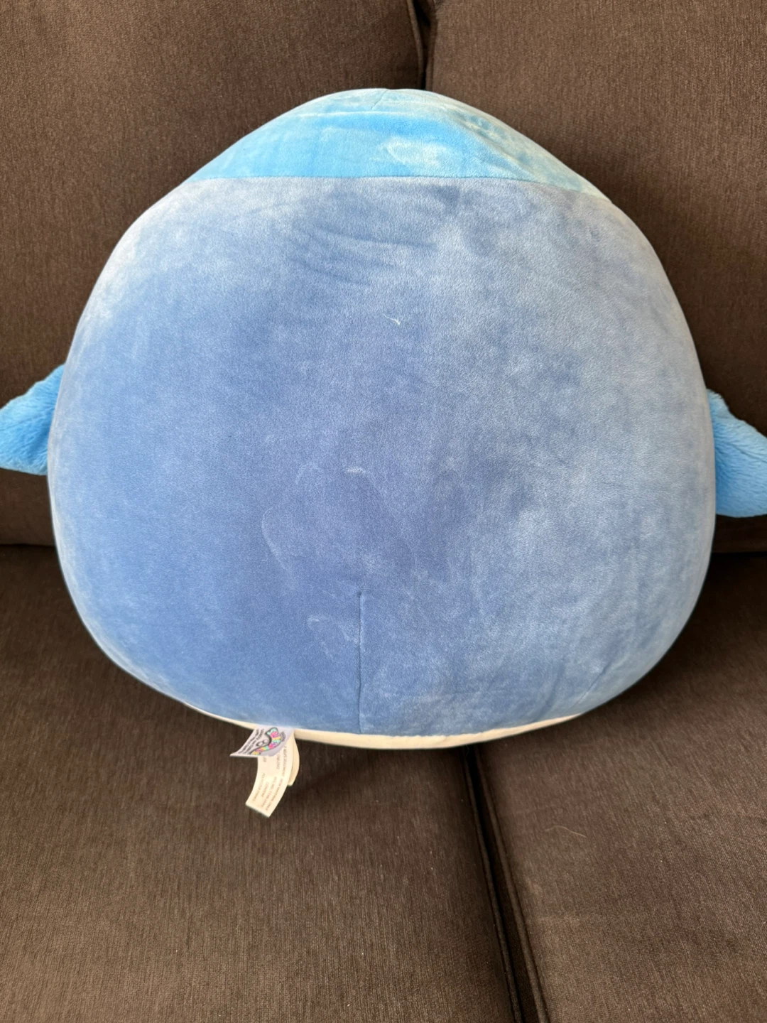 Squishmallows Babs Blue Jay Plush Toy - photo 3