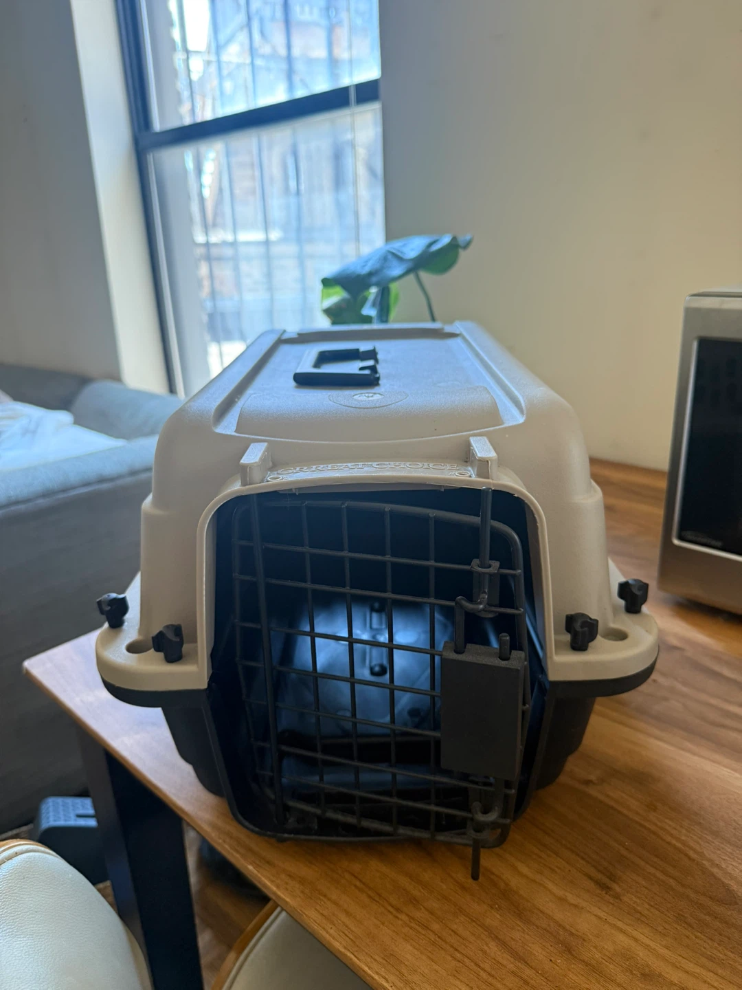 Pet Carrier (cat or small dogs)