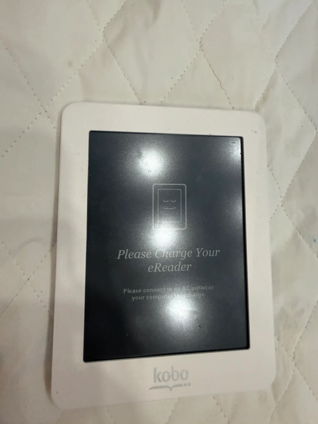 Kobo eReader mini