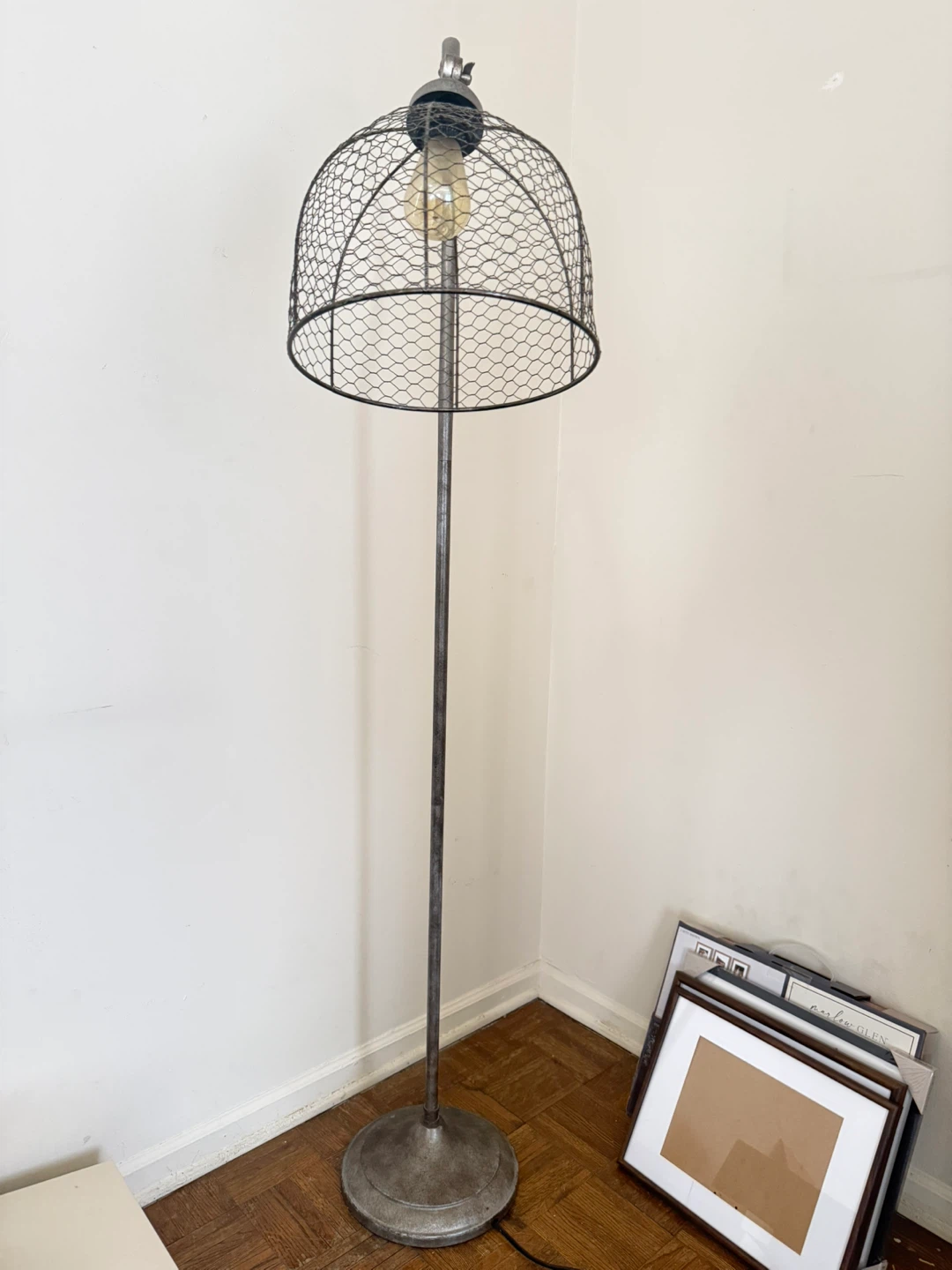Industrial Wire Mesh Dome Floor Lamp