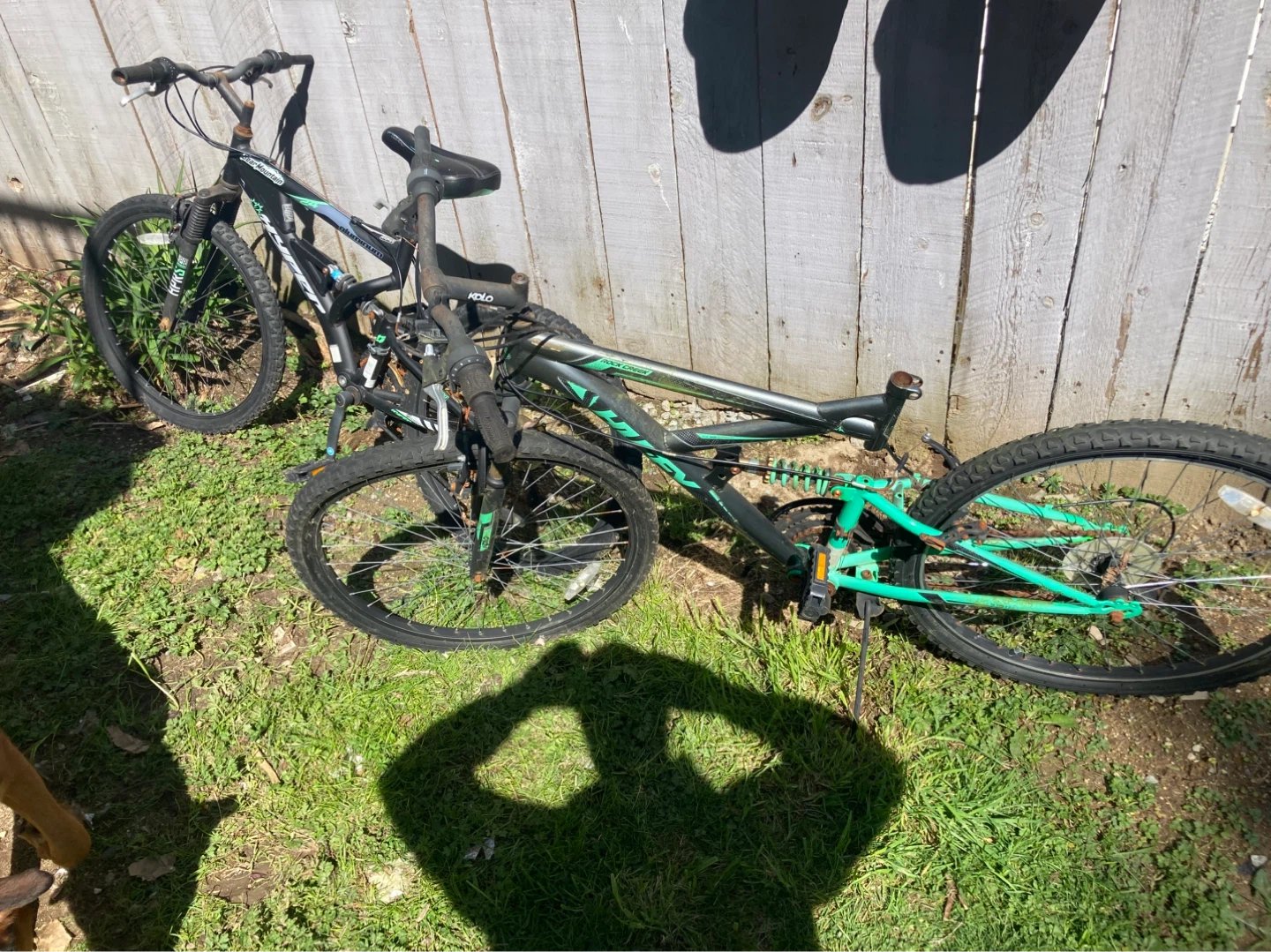 2 mountain bikes. Free
