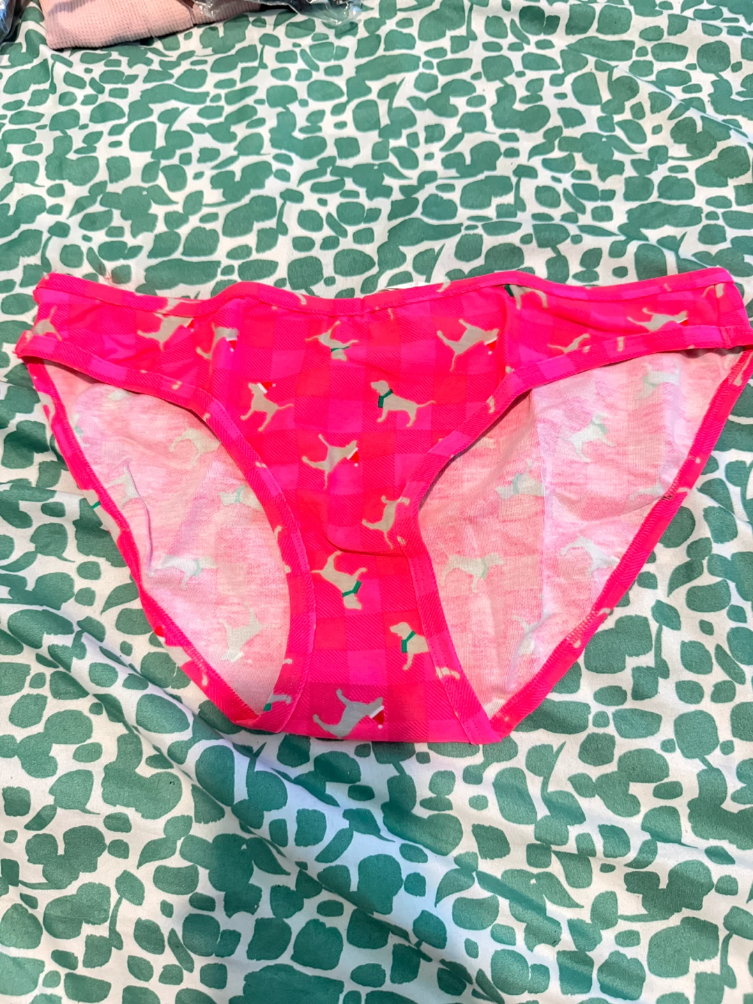 Victoria's Secret Pink Underwear - Size L