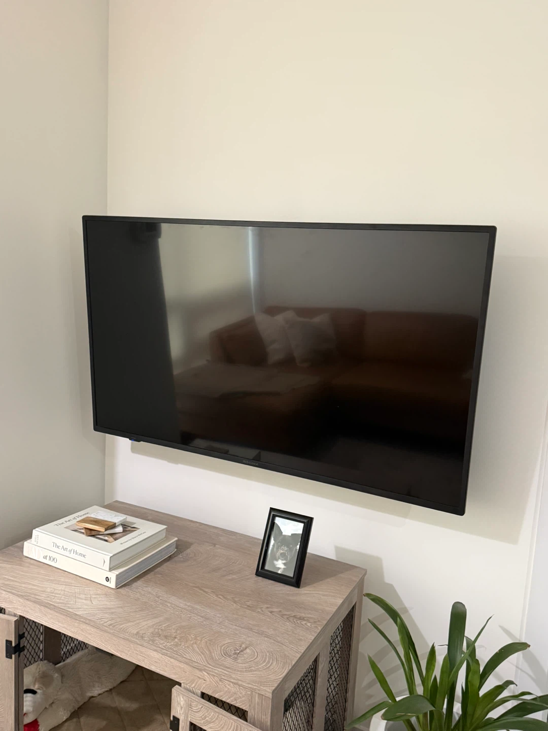 Insignia 55” Smart TV with Roku