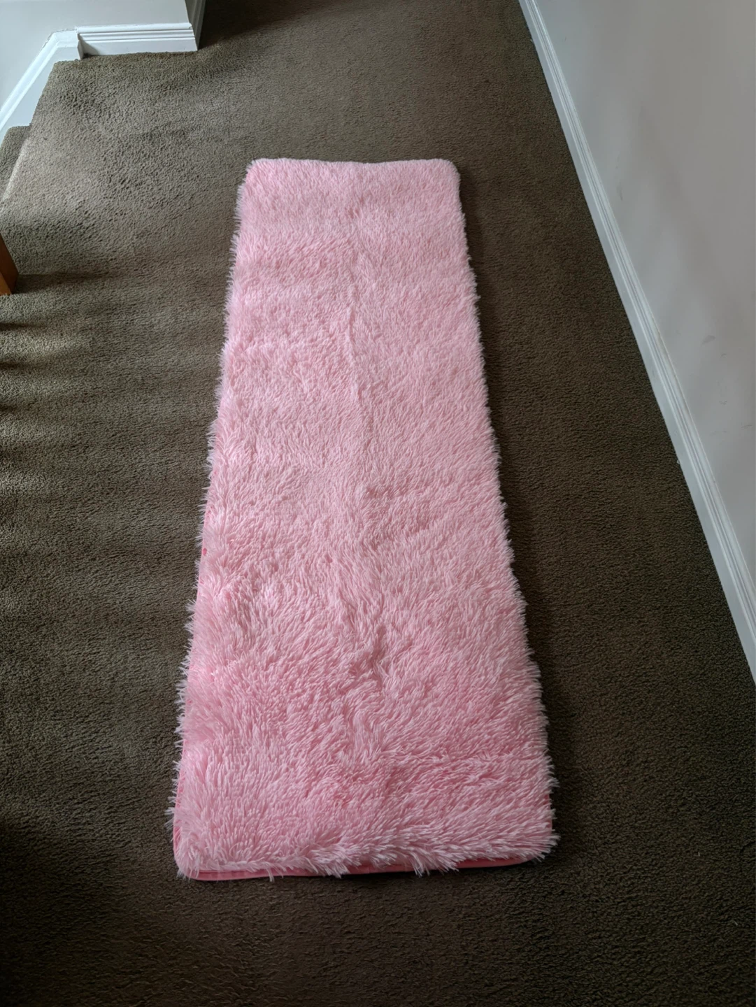 Pink Rug