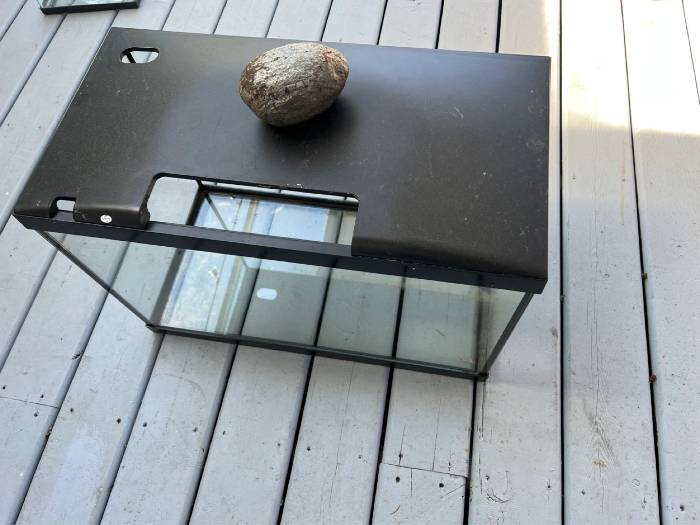20 Gallons Glass Aquarium Tank - photo 4