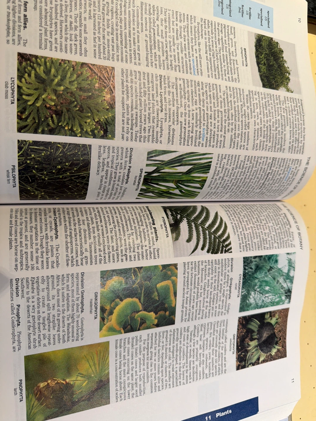 Volume Library Encyclopedia Set - Books 1, 2, & 3 - photo 4