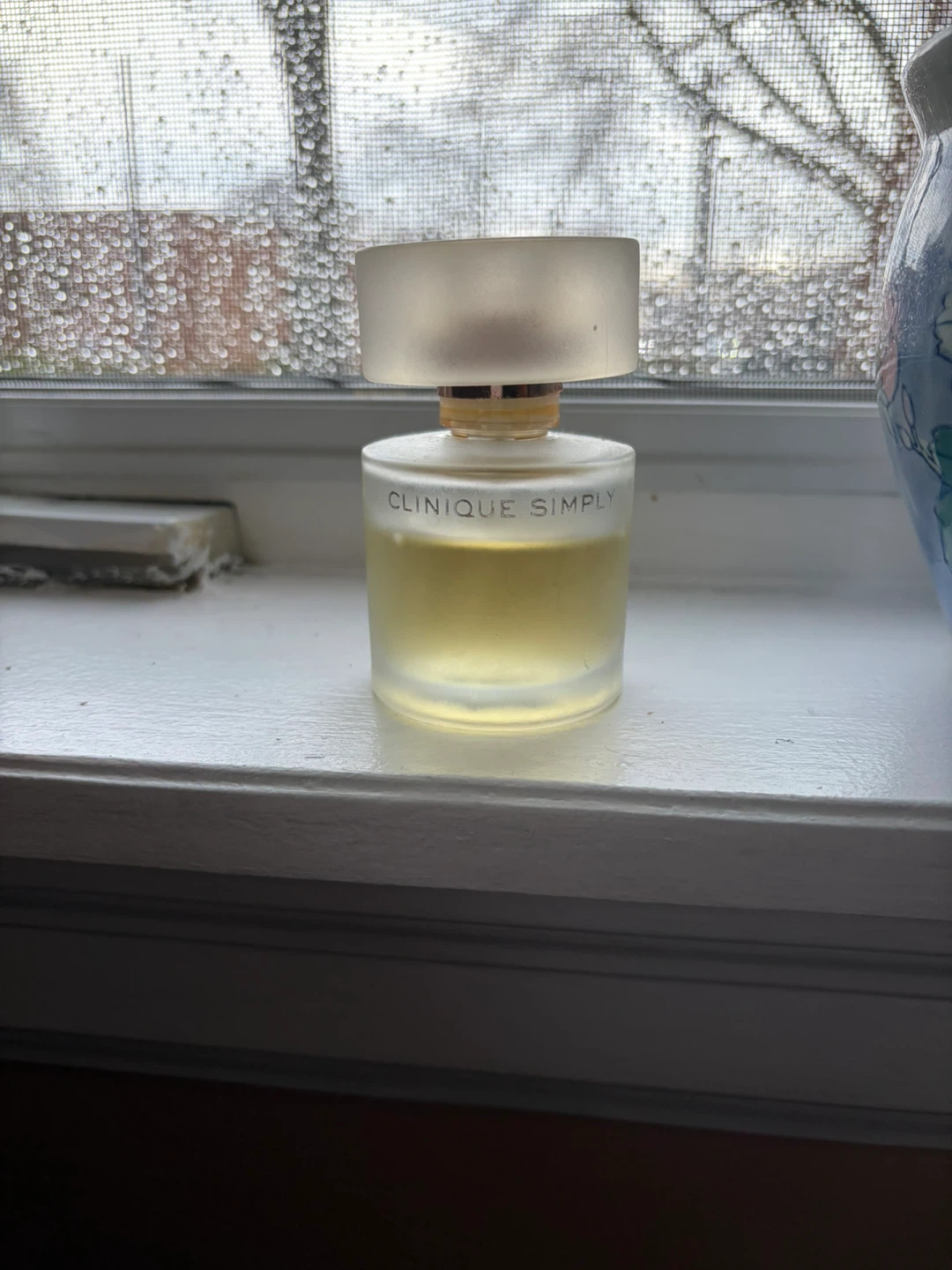 Clinique Simply DISCONTINUED - photo 3