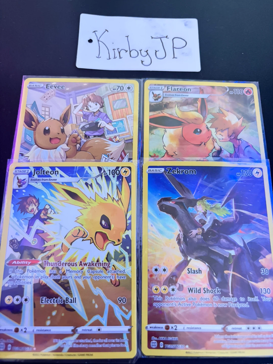 Pokémon - Eevee, Flareon, Jolteon, Zekrom Trainer Gallery