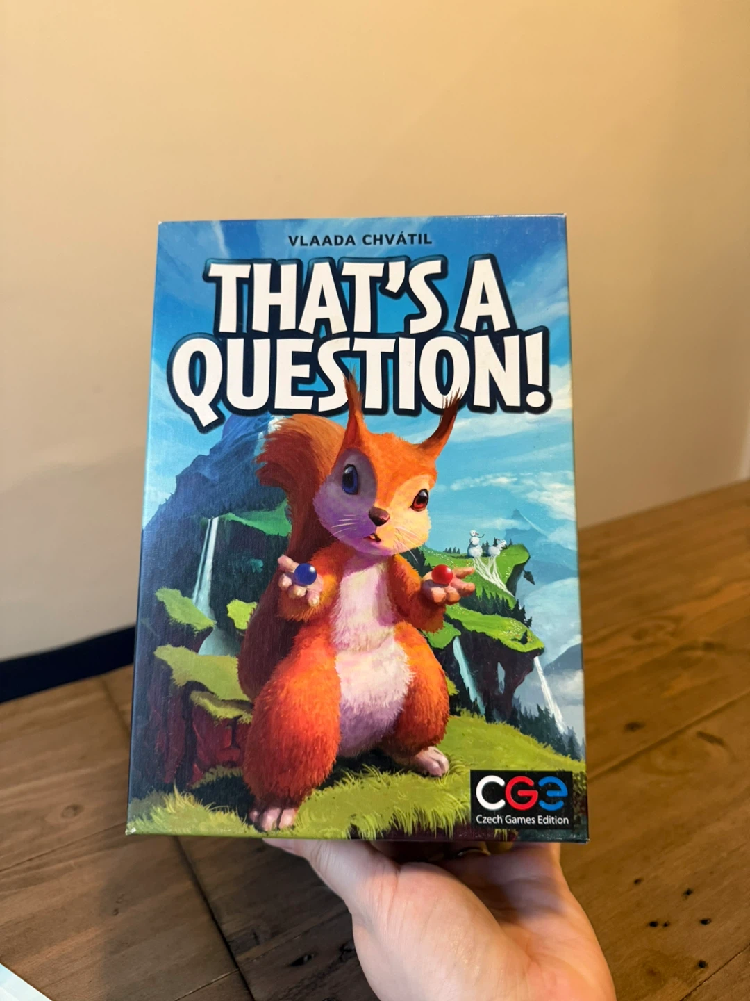 That’s a Question! board game