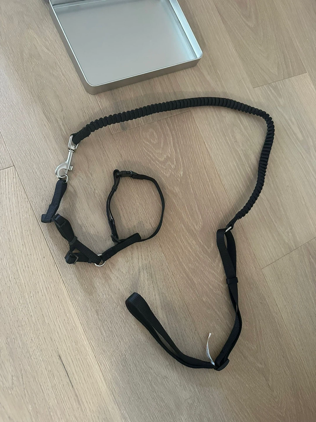 Black cat Leash Set