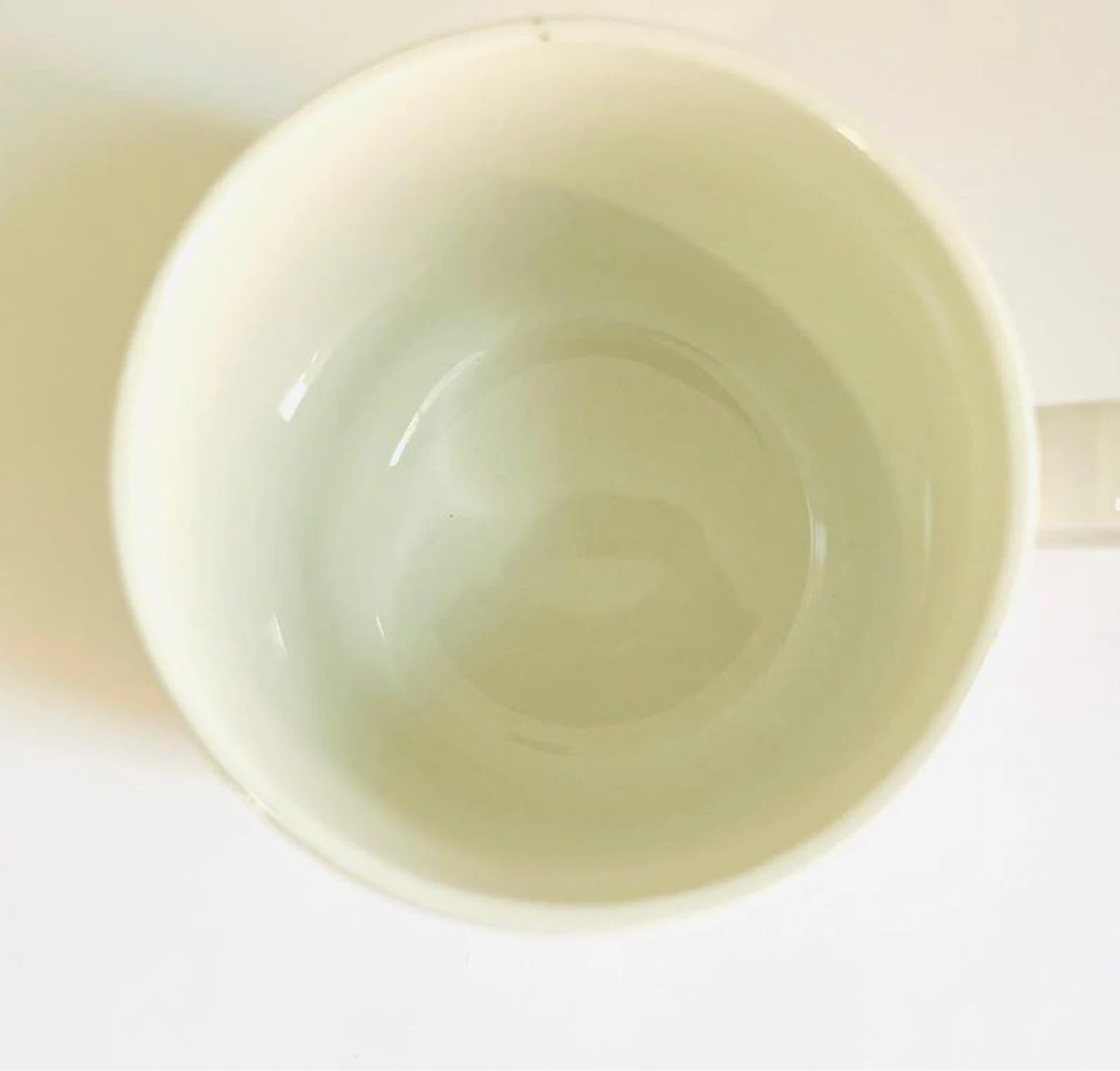 Vintage 1960’s Chrysanthemums  Spring tea or coffee mug - photo 5