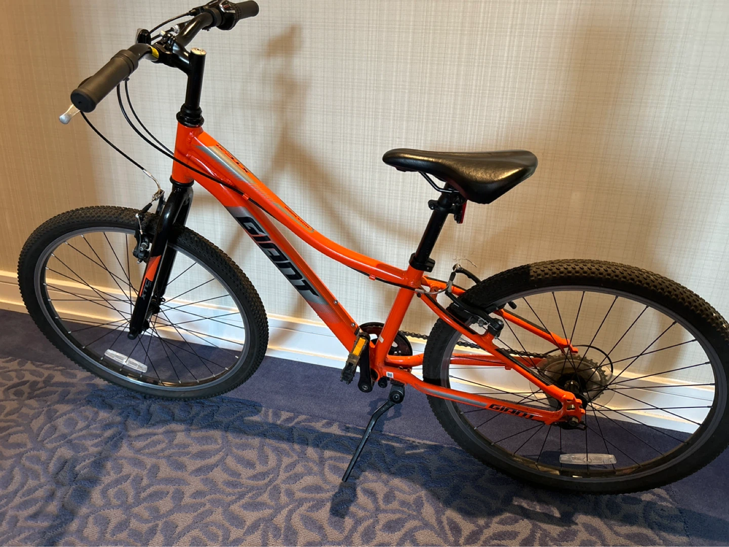 Giant Kids Bike - size 24