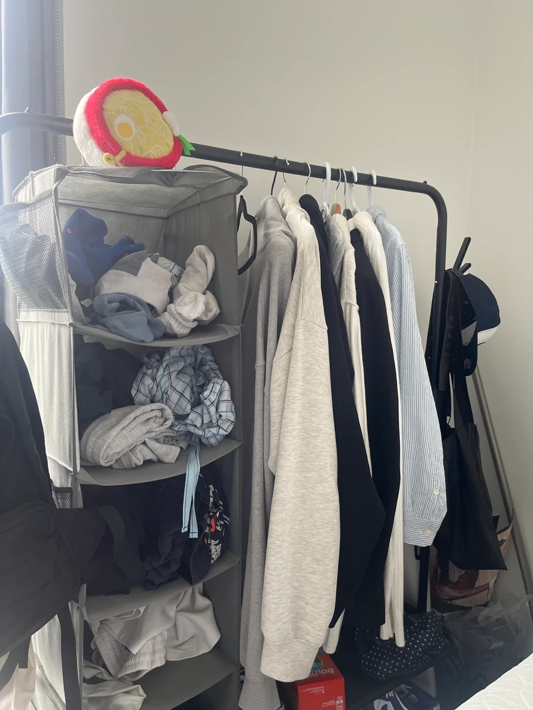 Simple Houseware Garment Rack with Storage Shelves