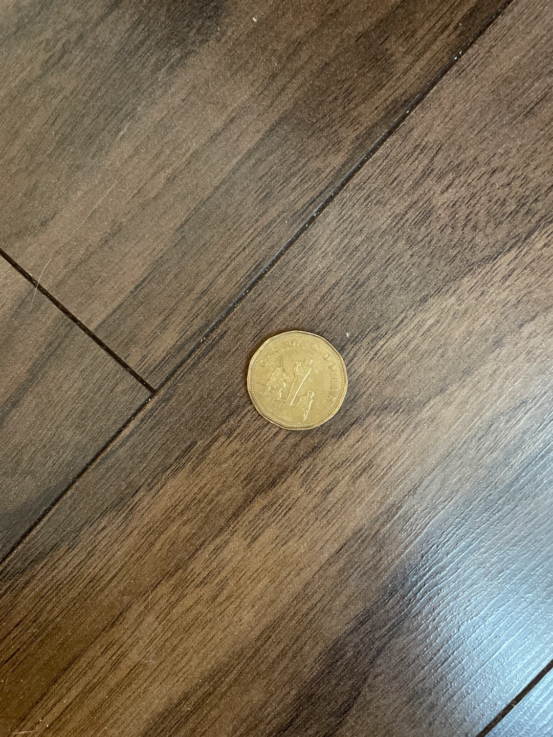 1995 Peacekeeping Loonie - photo 2