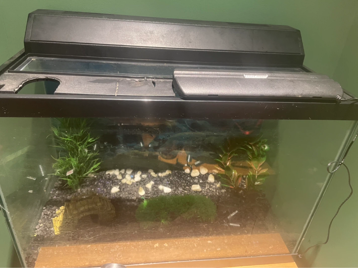 10 Gal Aquarium with decorations, heater and light - photo 2