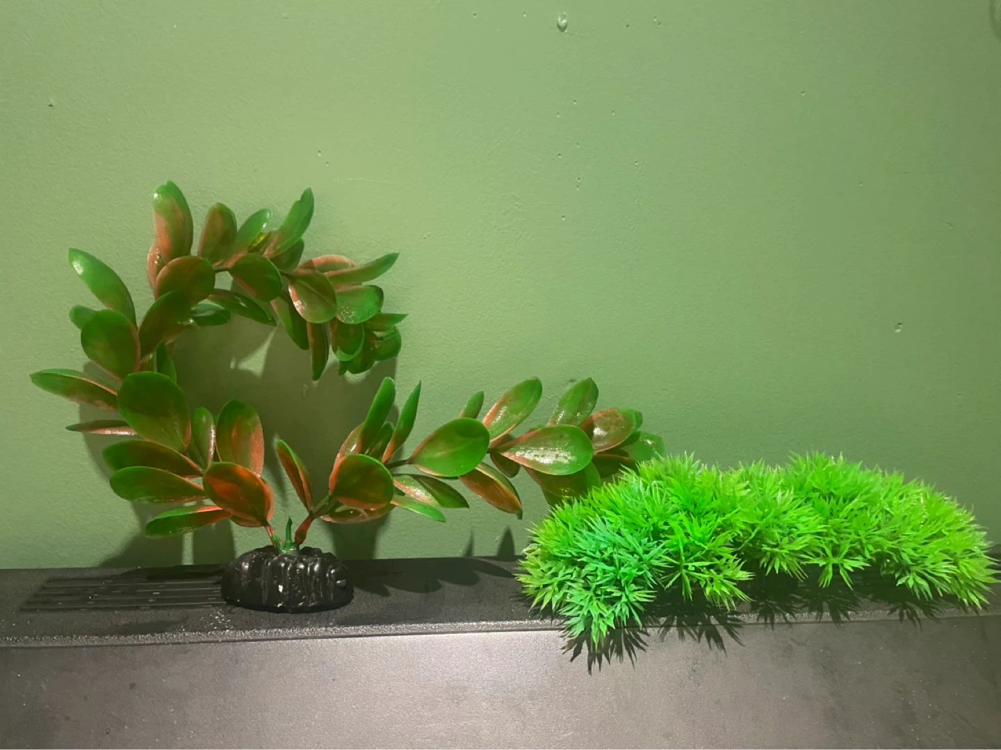 10 Gal Aquarium with decorations, heater and light - photo 4
