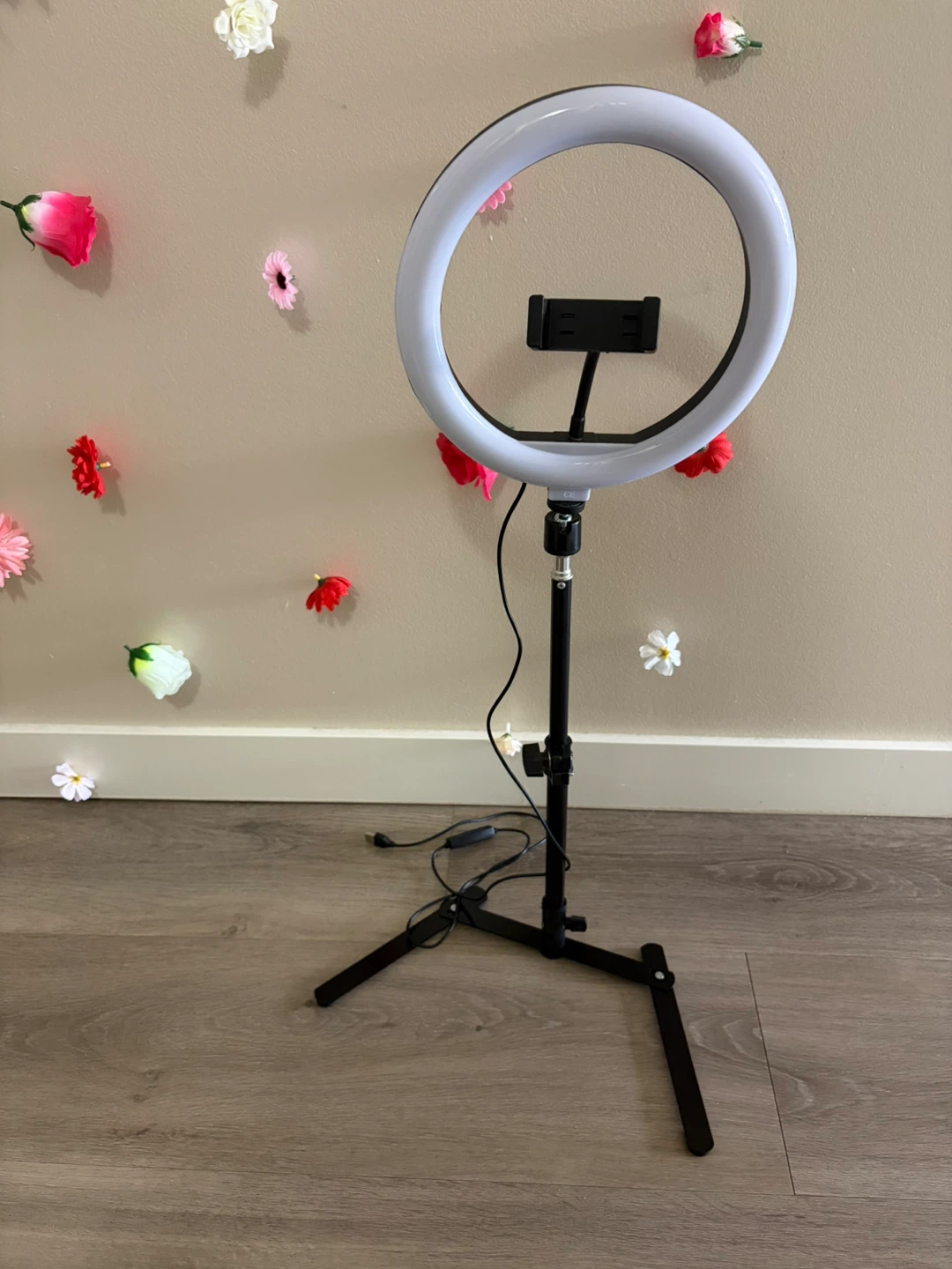 10 Inch LED Ring Light with Phone Holder - photo 2