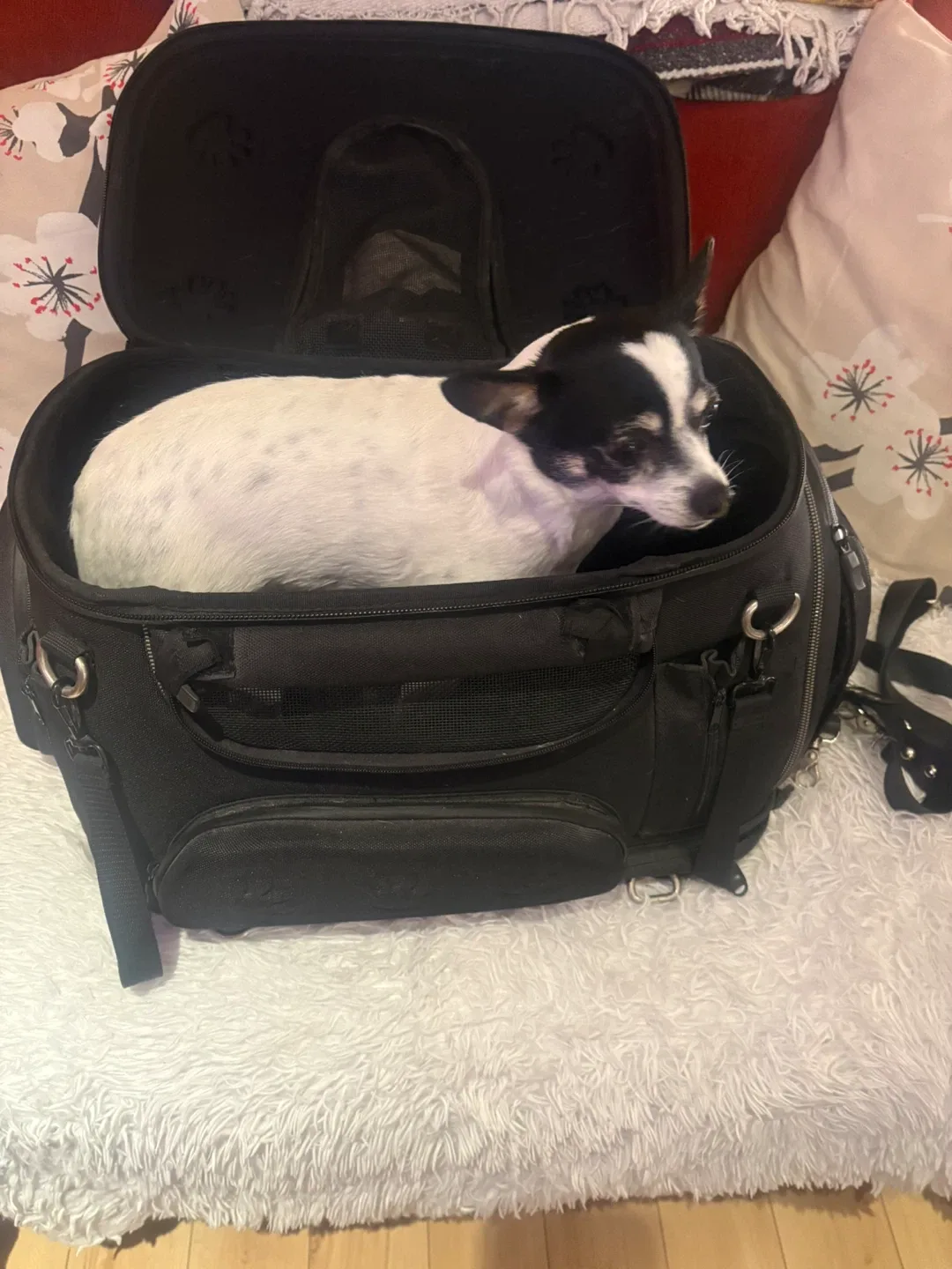 Black Pet Carrier Bag - photo 3