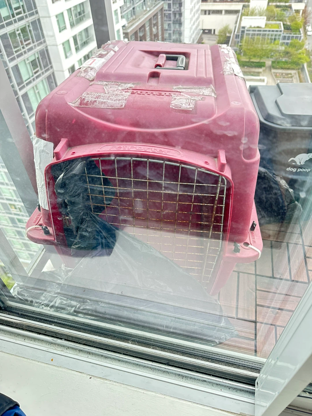 Free Pet Carrier - Large