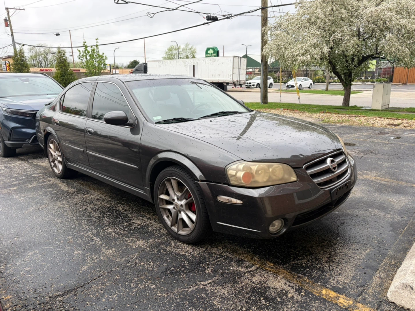 2002 Nissan Maxima - photo 2