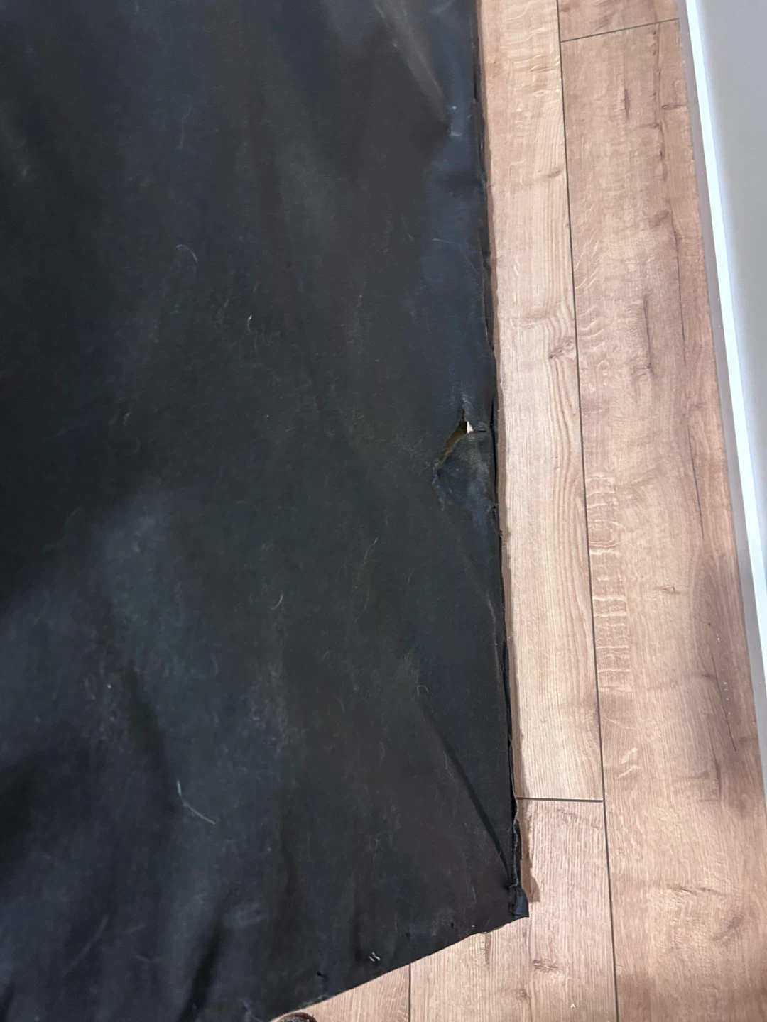 Springwall Box Spring + Metal Frame - $60 OBO - photo 4
