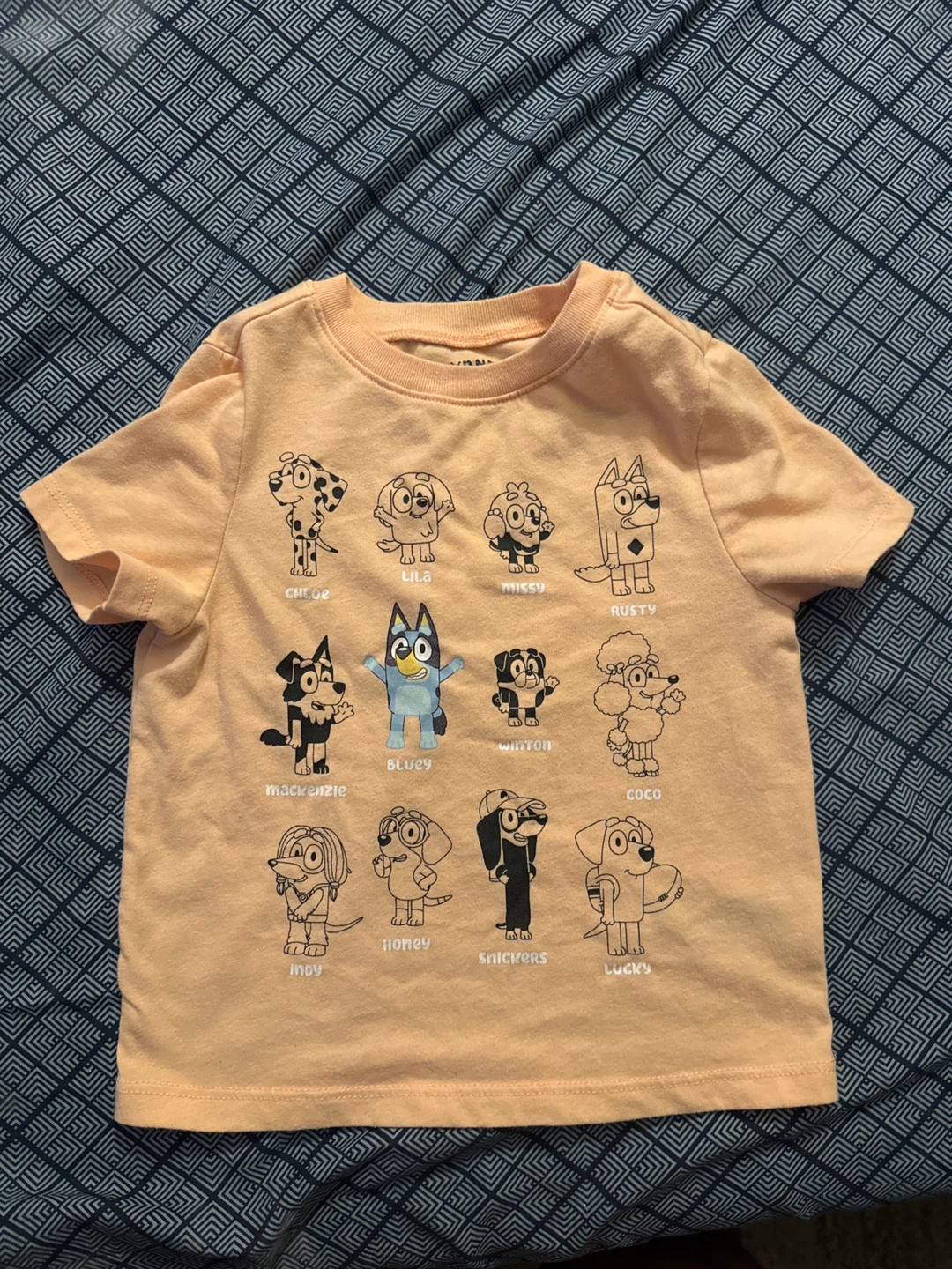 2T - Bluey and Friends Peach T-Shirt