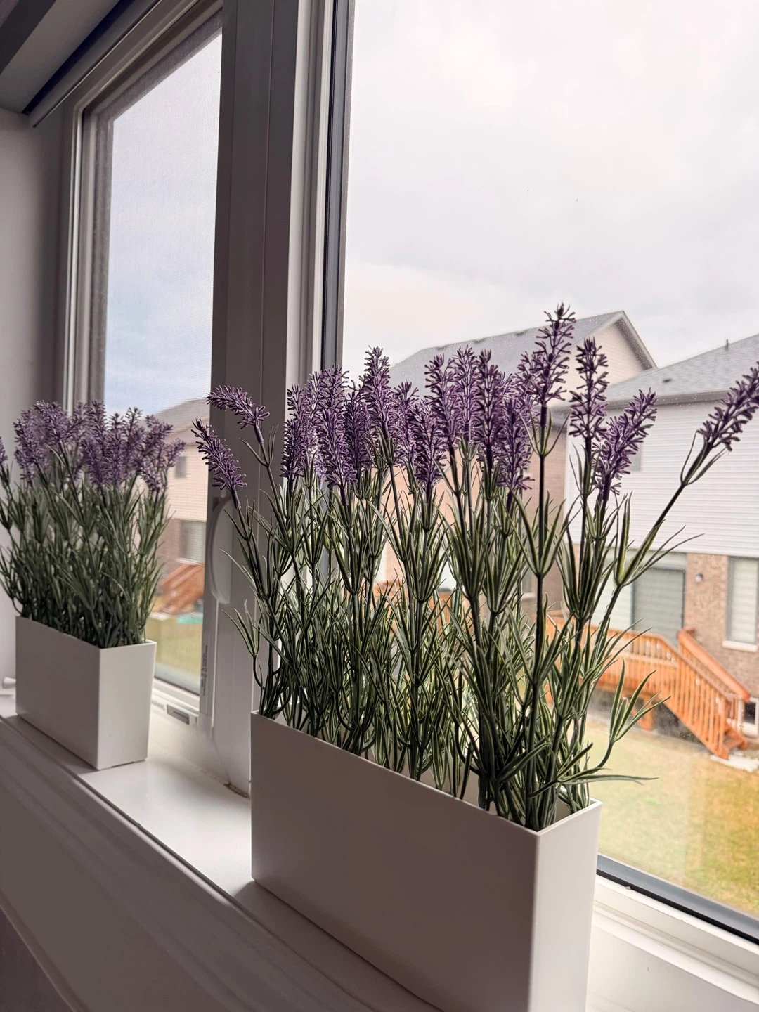 Set of 2 Artificial Lavender Plants in White Planters