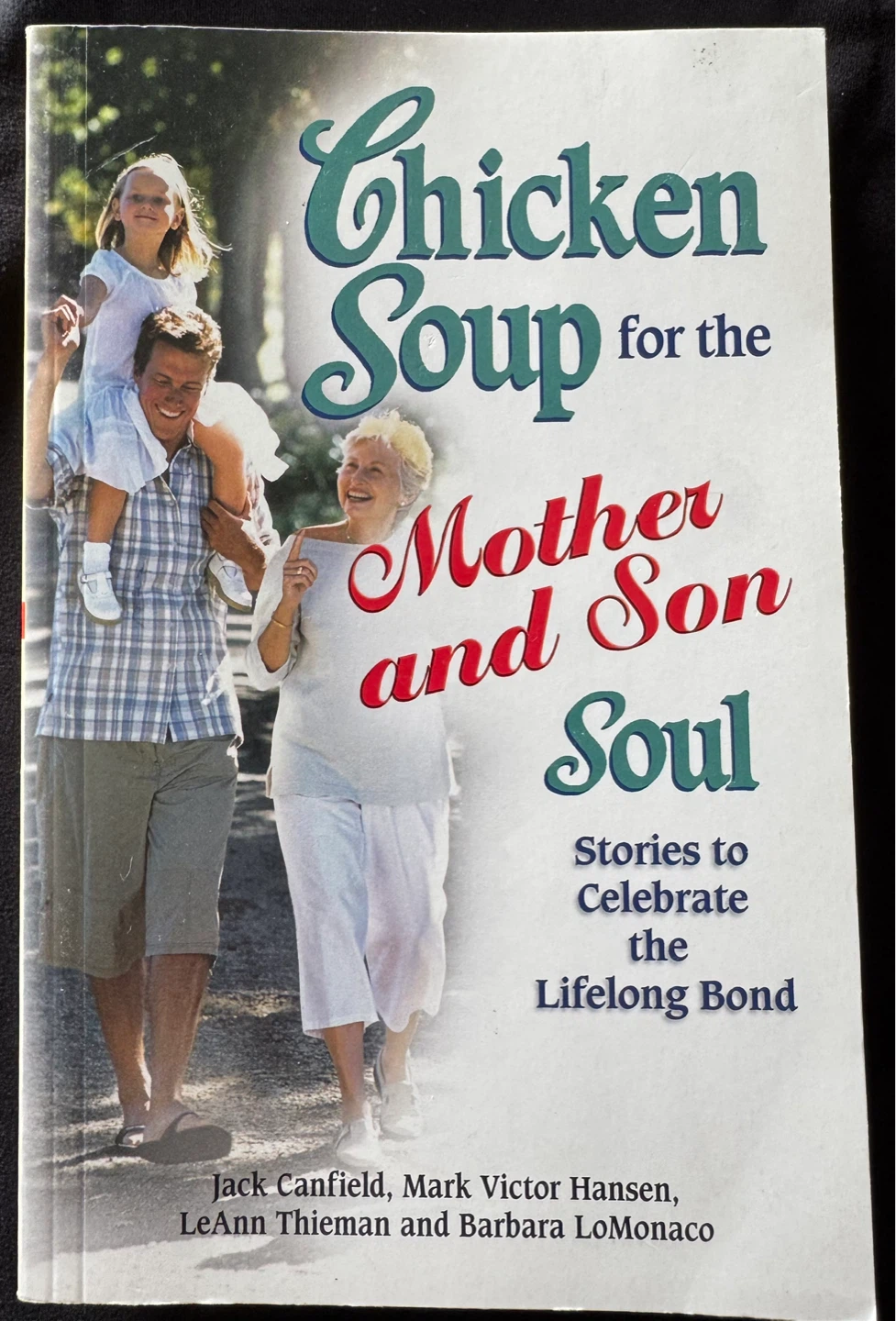 Chicken Soup for the Mother and Son Soul Book