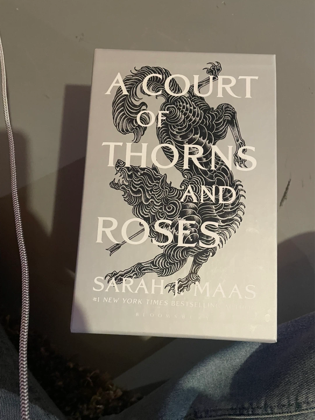 A Court of Thorns and Roses Series Box Set by Sarah J. Maas - photo 2