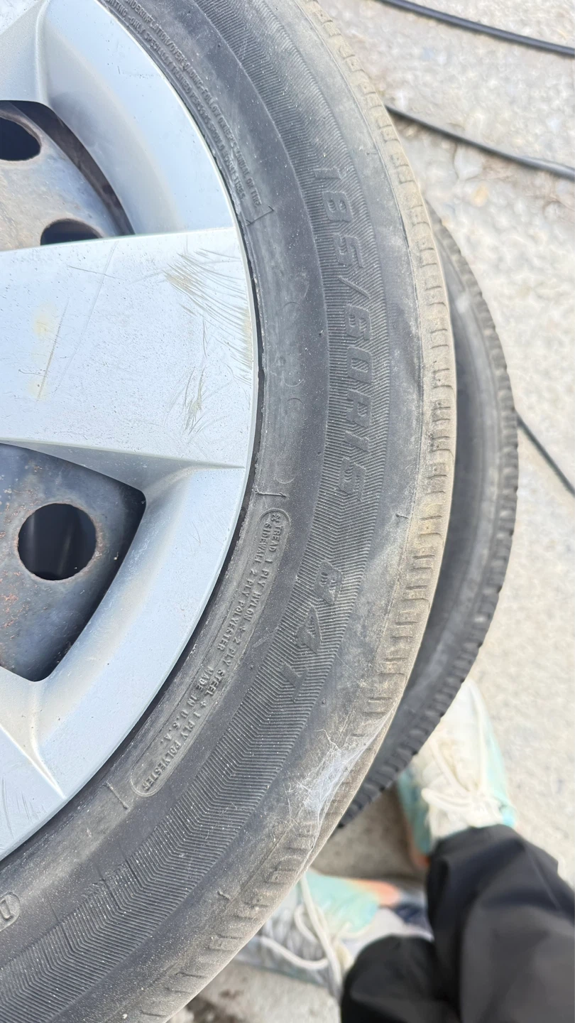 Set of 4 Motomaster Tires - photo 4