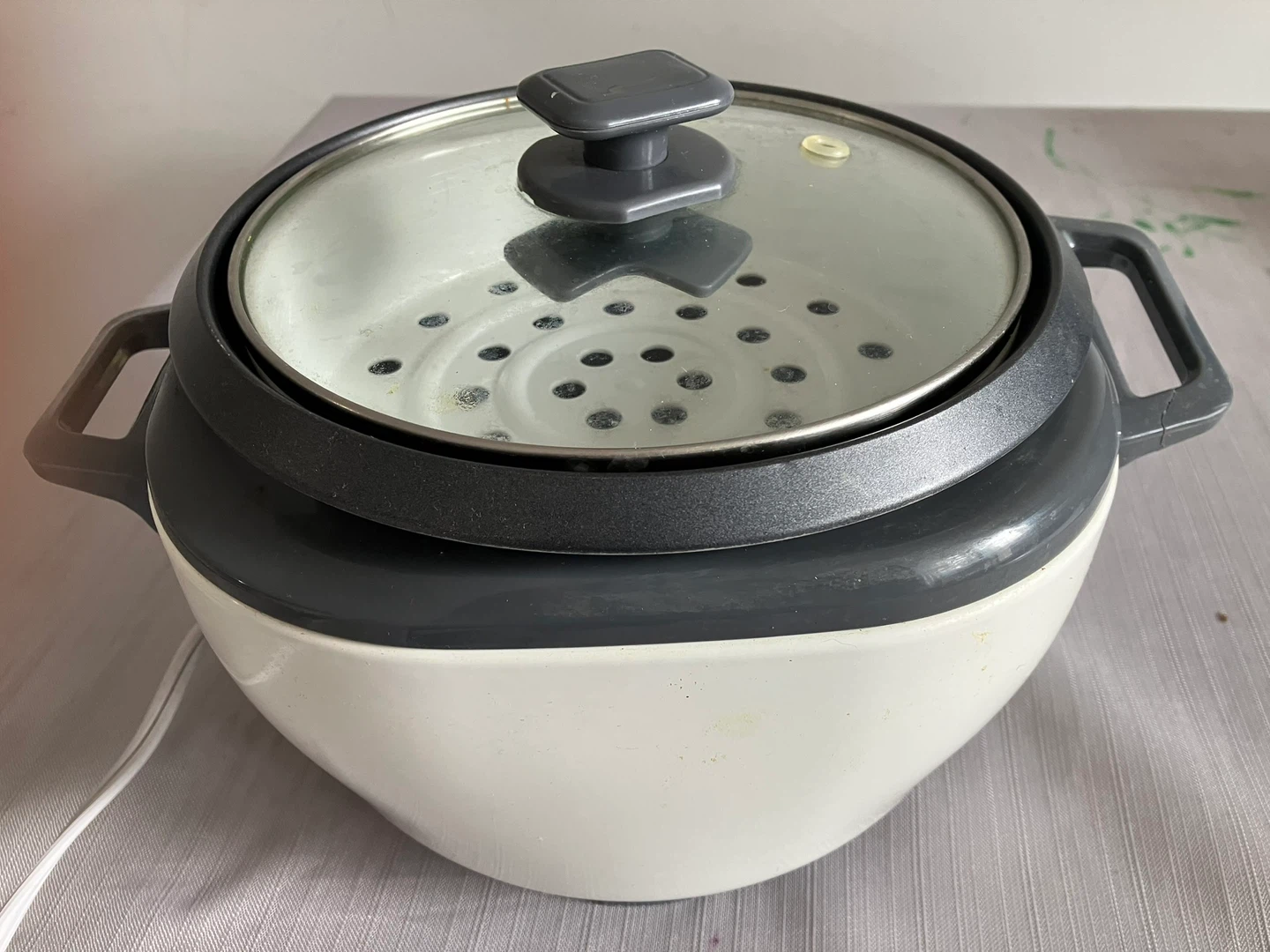 Rice Cooker with Steamer Basket