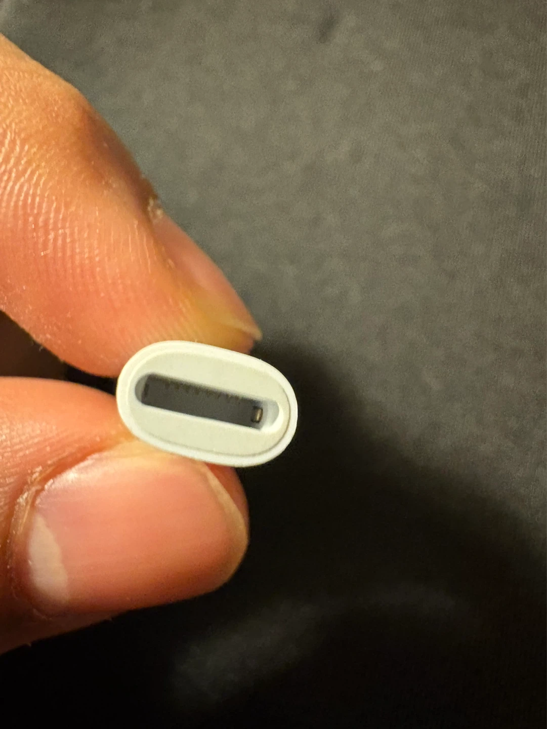 Apple Pencil (1st Generation) with charging adapter - photo 5