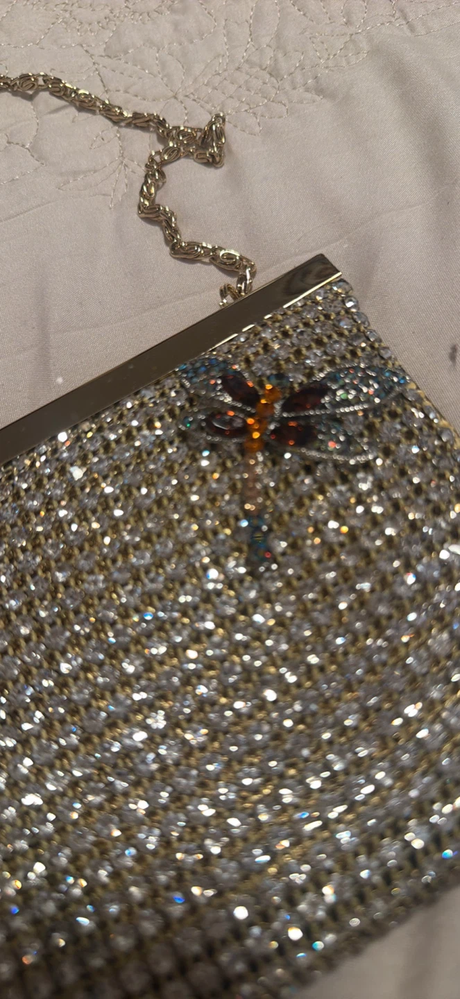Sparkly Clutch with Dragonfly Embellishment