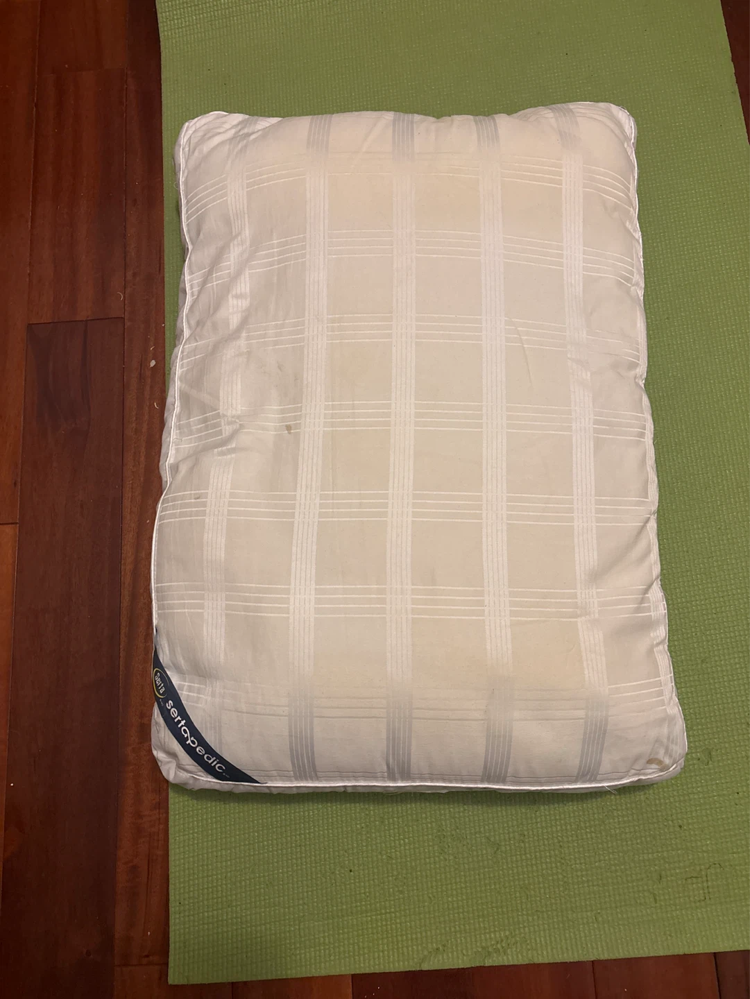 Serta Sertapedic Pillow