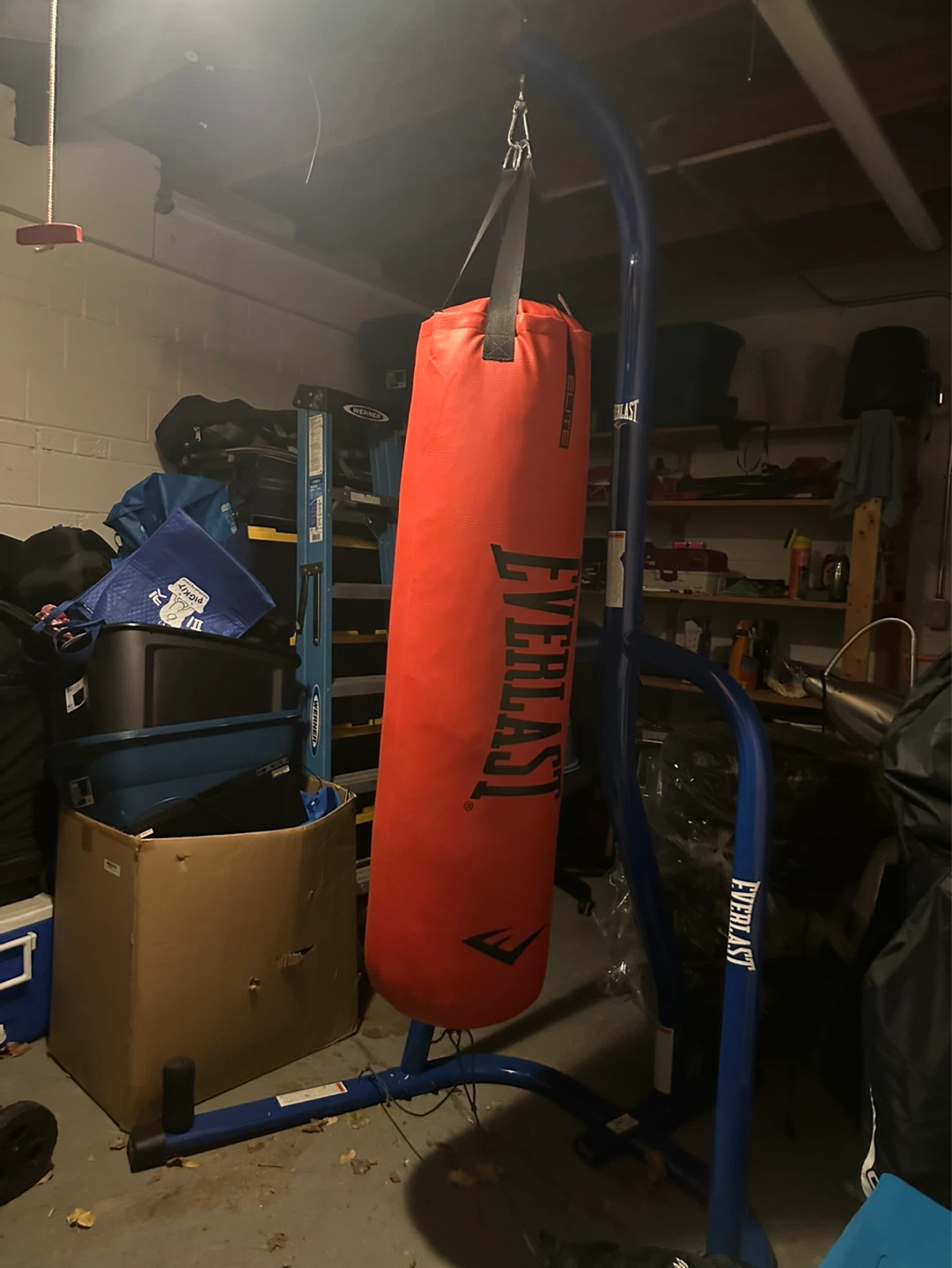 Everlast Punching Bag with Stand