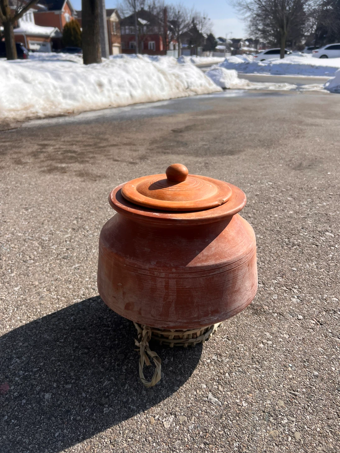 Swadeshi Blessings Clay Pot with Lid