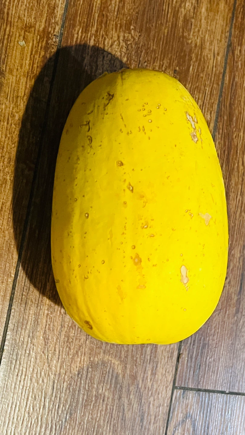 FREE FREE FREE Yellow Spaghetti Squash