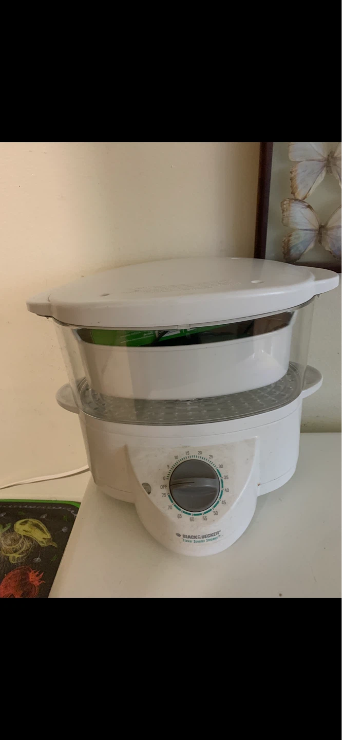 Black & Decker Flavor Scenter Steamer