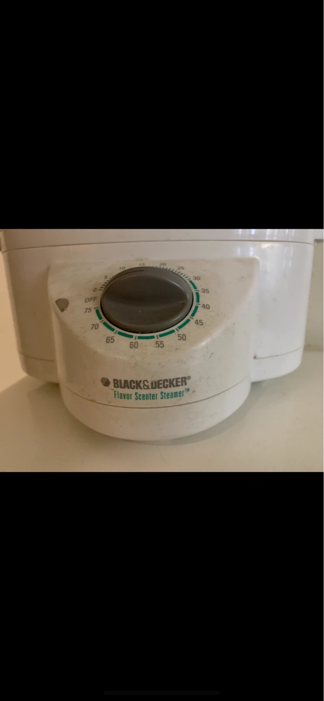 Black & Decker Flavor Scenter Steamer - photo 2